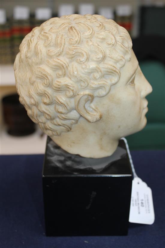 A British Museum simulated marble classical head, 10in.